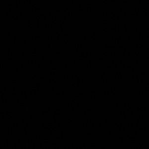 Meet your Posher, Emiliano